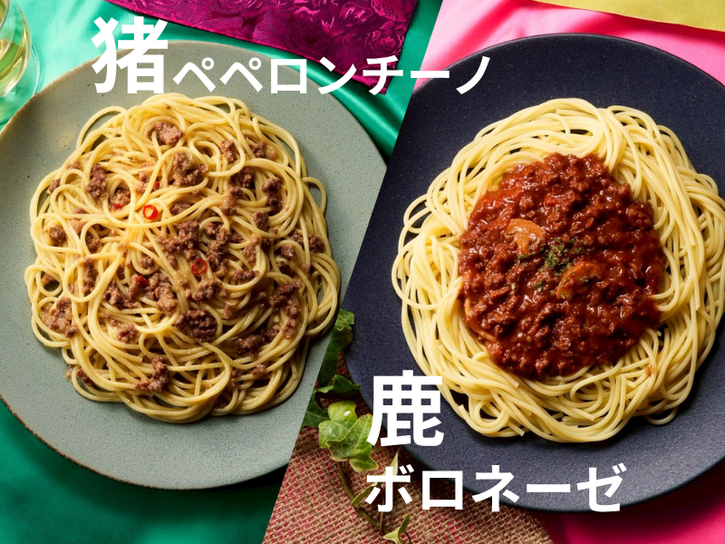 革新のパスタソース 猪・鹿セット（レトルト・各２食）山梨県産ジビエ【常温便】