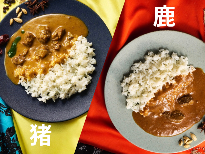 至極のフレンチカレー　猪・鹿セット（レトルト、各２食）山梨県産ジビエ【常温便】